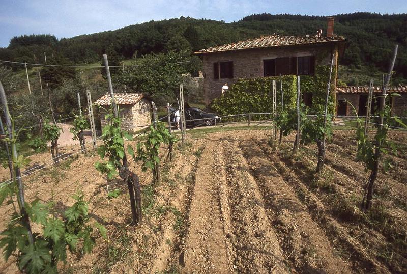 Italy 99 Fietri Agriturismo.jpg